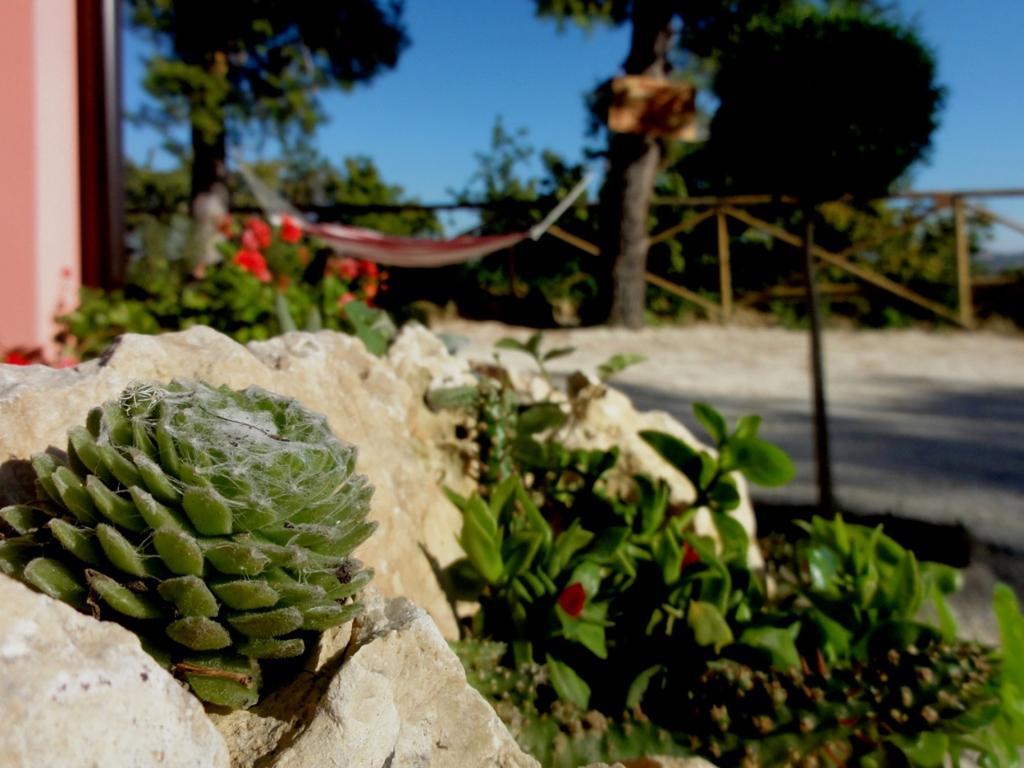 Vila Agriturismo Casa Rosa Offida Exteriér fotografie